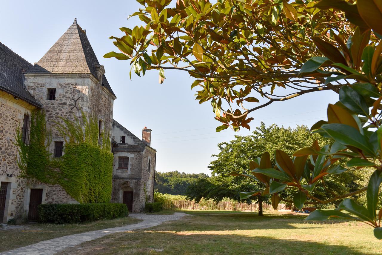 Manoir De Jouralem Bed & Breakfast Blaison Exterior photo